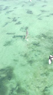 Vertical Video Boats in the Ocean Near the Coast of Zanzibar Tanzania