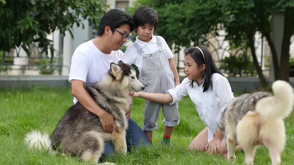 Happy Asian Family Playing With Siberian Husky Dog In The Garden