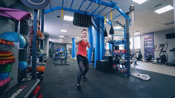 Fit woman exercising in gym. Fitness sport woman in fashion sportswear doing fitness exercise