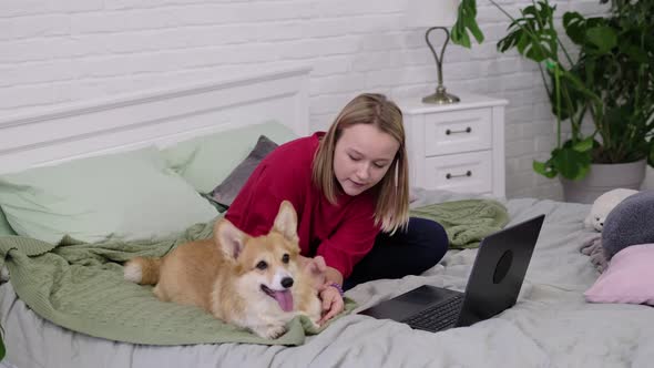 Teenage Girl with Funny Corgi Dog and Laptop on Bed at Home