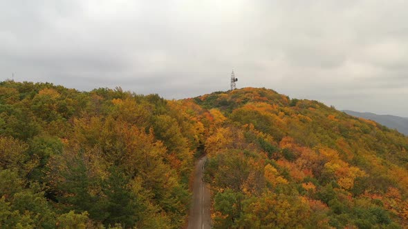 Aerial View Of Old Road In The Middle Of A Colored Autumn Forest