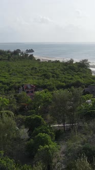 Tanzania  Coast of Zanzibar Island Covered with Thickets Slow Motion