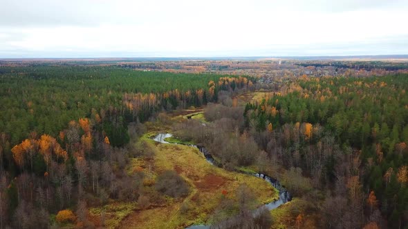 Autumn In The Forest 28