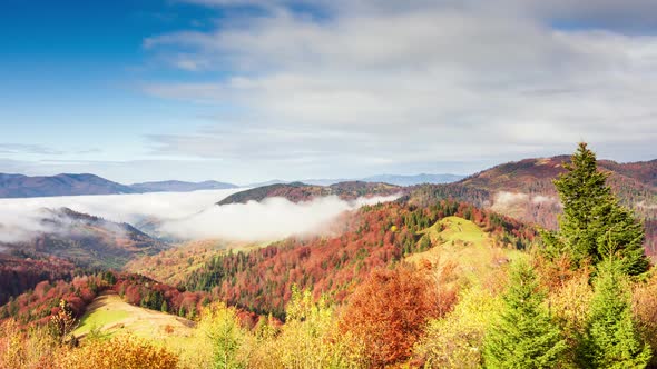 Wonderful Autumn Landscape with Beautiful Blue Sky and Majestic Clouds Forest Sunset Beautiful Fall