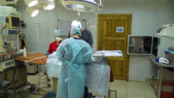 Surgical Operation of a Dog in a Veterinary Clinic