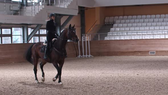 Equestrian  a Woman Rides a Horse on Hippodrome