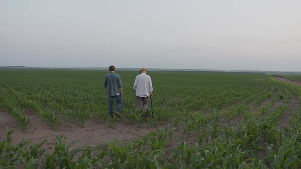 Back Side of Two Farmers Walk on the Corn Field