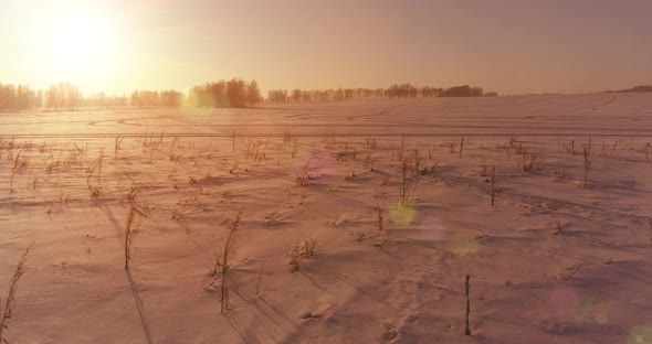 Aerial Drone View of Cold Winter Landscape with Arctic Field Trees Covered with Frost Snow and