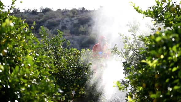 Farm worker spraying pesticide and insecticide on protective suit at lemon trees plantation 