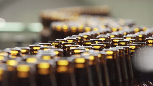 Beer Bottles on a Conveyor Belt