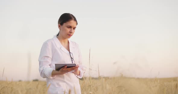 Woman Examining Wheat Crop in Field and Sending Data to Cloud Using Tablet
