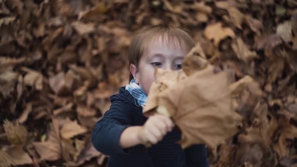 Little Boy Waving Dry Yellow Autumn Leaves