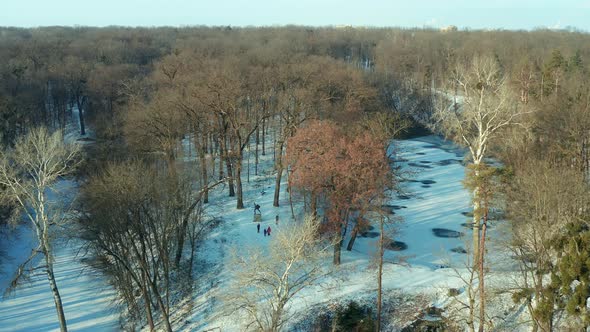 Flying over the park in the snow. White snow, gray trees without leaves. Ruins.