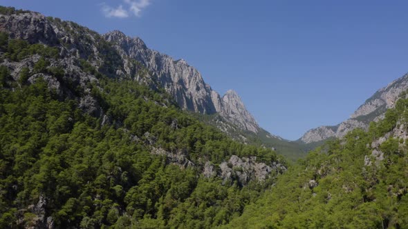 Aerial View of Rocky Mountains with Evergreen Forests on Blue Sky in the Background