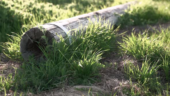 A large piece of wood laying down on the grass field