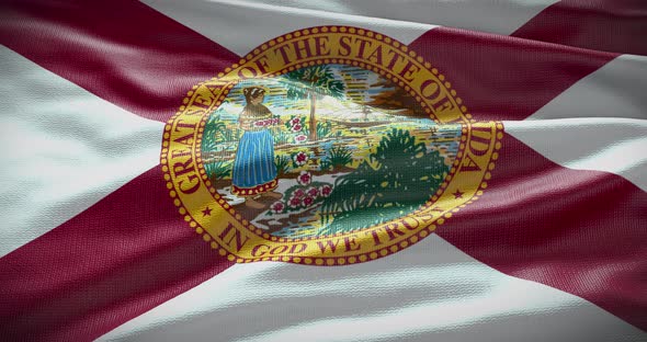 Florida waving flag looped 4K