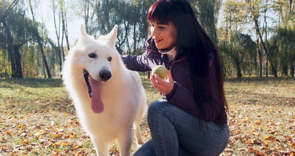 Happy Female Cheerfully Playing and Sitting with Dog in the Autumn Park. Love and Friendship with