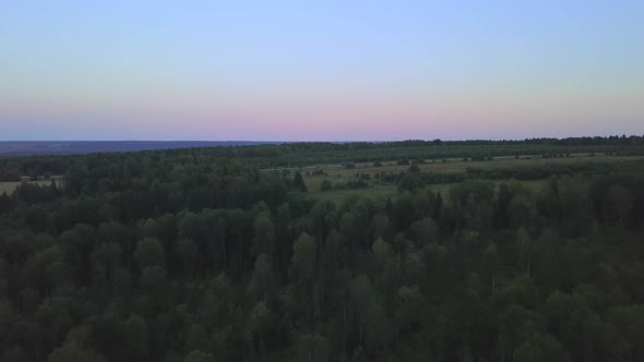 Aerial Drone View Over the Mixed Forest
