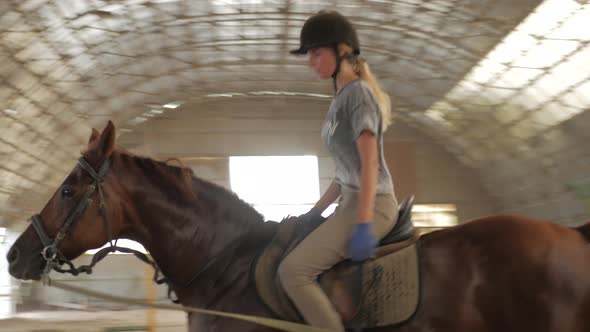 A girl trains a horse in an arena. Horse riding, horse racing, jumping