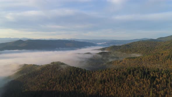 Aerial Autumn Landscape from Drone