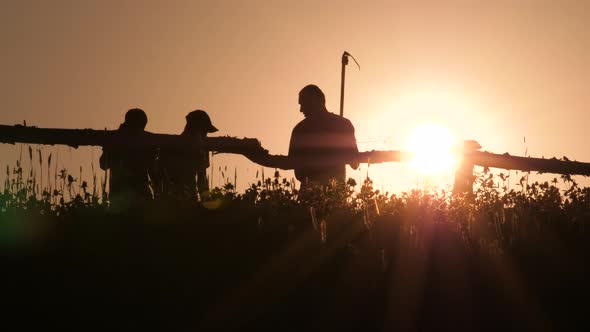 Silhouette of Young Farmer in Village Standing with Sickle Scythe Rake Tool in Green Summer