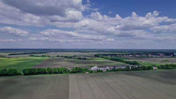 Drone Flying Over a Cornfield During Summer