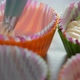 Baking Cups with Dough for Vanilla Cupcakes - VideoHive Item for Sale
