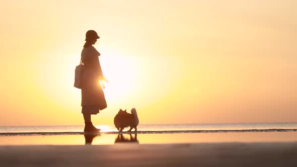 Dog Training Woman in Hat on Beach Sunset Background Spbi