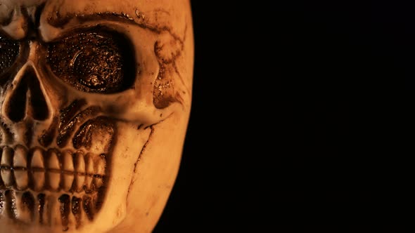 Scary Skull Detail 4 K