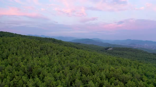 Mysterious Trail in the Forest Filmed on a Drone