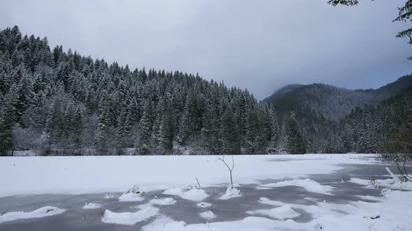 Panoramic view of a  forest near the frozen Red Lake