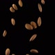Almonds in Free Fall on a Black Background - VideoHive Item for Sale