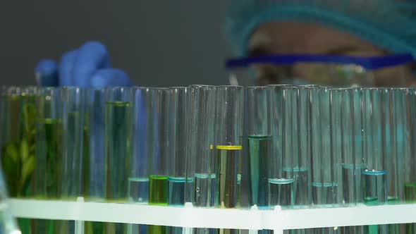 Lab Worker Taking Test Tube With Yellow Substance From Rack, Quality Control