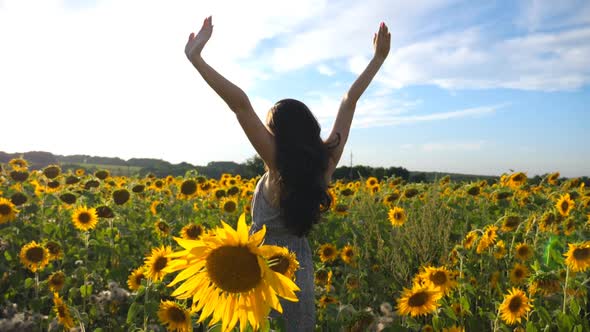 Inspired Girl Standing Among Sunflowers Field with Raised Hands