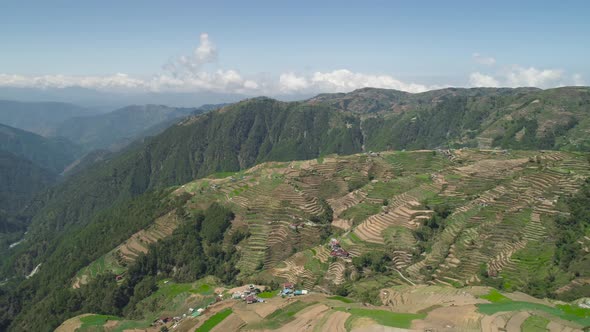Farmland in a Mountain Province Philippines, Luzon