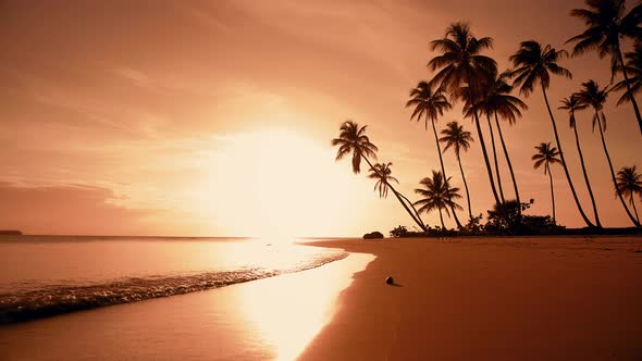 Yellow Sunset on The Beach. Palm Trees Sunset Background. Waves and Sky and Yellow Sun. Sunshine