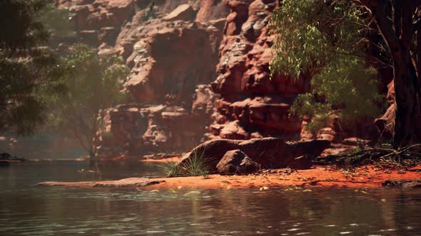 Redwall Reflection in Colorado River