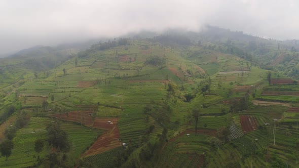 Tropical Landscape with Farmlands in Mountains