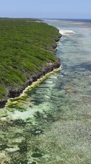 Vertical Video of Low Tide in the Ocean Near the Coast of Zanzibar Tanzania