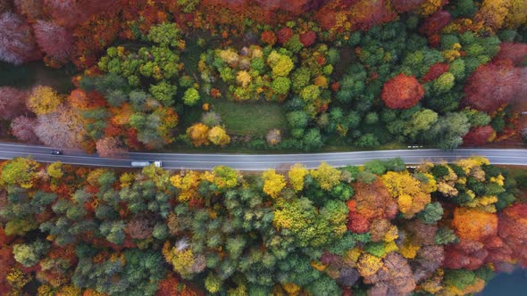 Autumn colors and mountain road aerial view