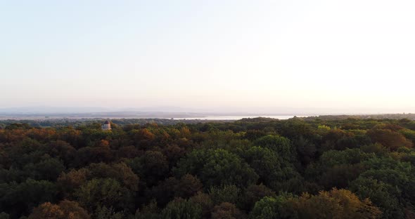 Aerial View of Forest - Flying Above Woods