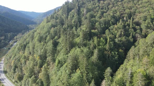 Nature of Ukraine: Carpathian Mountains Slow Motion. Aerial View