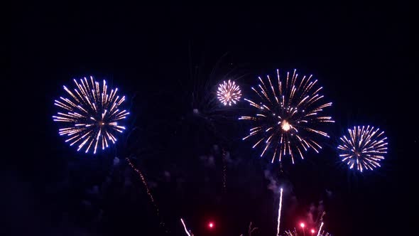 Colorful Firework display at night on sky background