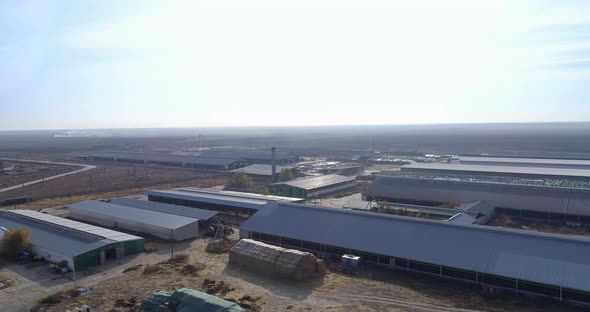 Countryside Aerial View on Cow Farm Surrounded with Agriculture Fields and Bales of Hay