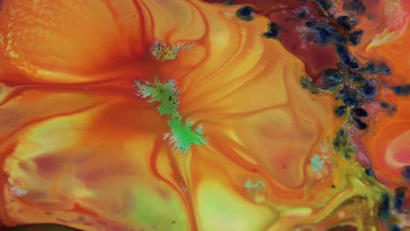 Swirling And Explosion Colour Of Mixed Paint 91