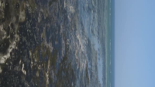 Zanzibar Tanzania  Vertical Video of Low Tide in the Ocean Near the Coast Slow Motion