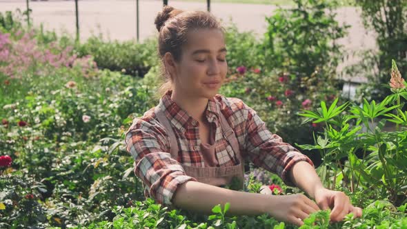 Smiling Female Gardener Working Outside