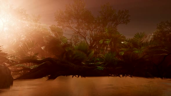 Sunset Beams Through Palm Trees alt