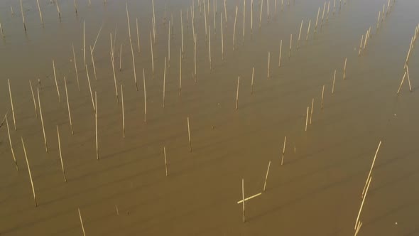 Flying over seaweed and fish farms in China.