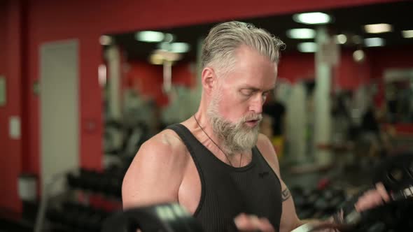 gray-haired tattooed man lifts a heavy barbell to his biceps. Workout in the gym